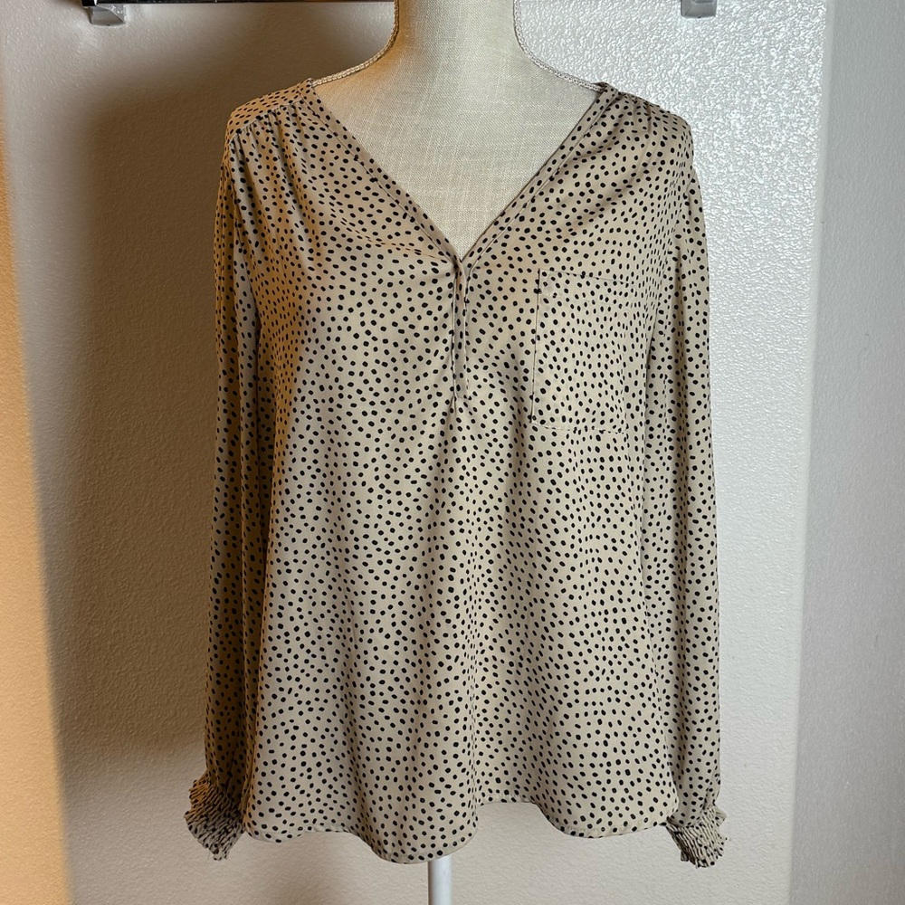 Pleione Polka Dot V-Neck Blouse